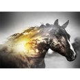 thumbnail image 1 of Taladro Pintura (DE6082) DIY 5D Mosaico Caballo Animal Completo Ronda Rhinestone Kit (FH230) 20X30cm FLhrweasw Nuevo, 1 of 1