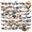 1A, variant on cartoon Airplane Theme Stickers, Waterproof Airplane Theme Sticker for Water Bottle Laptop Phone Cases Planner Skateboard Luggage Helmet Party Favor Decor, Ideal for Adults Teens Teacher Rewards
