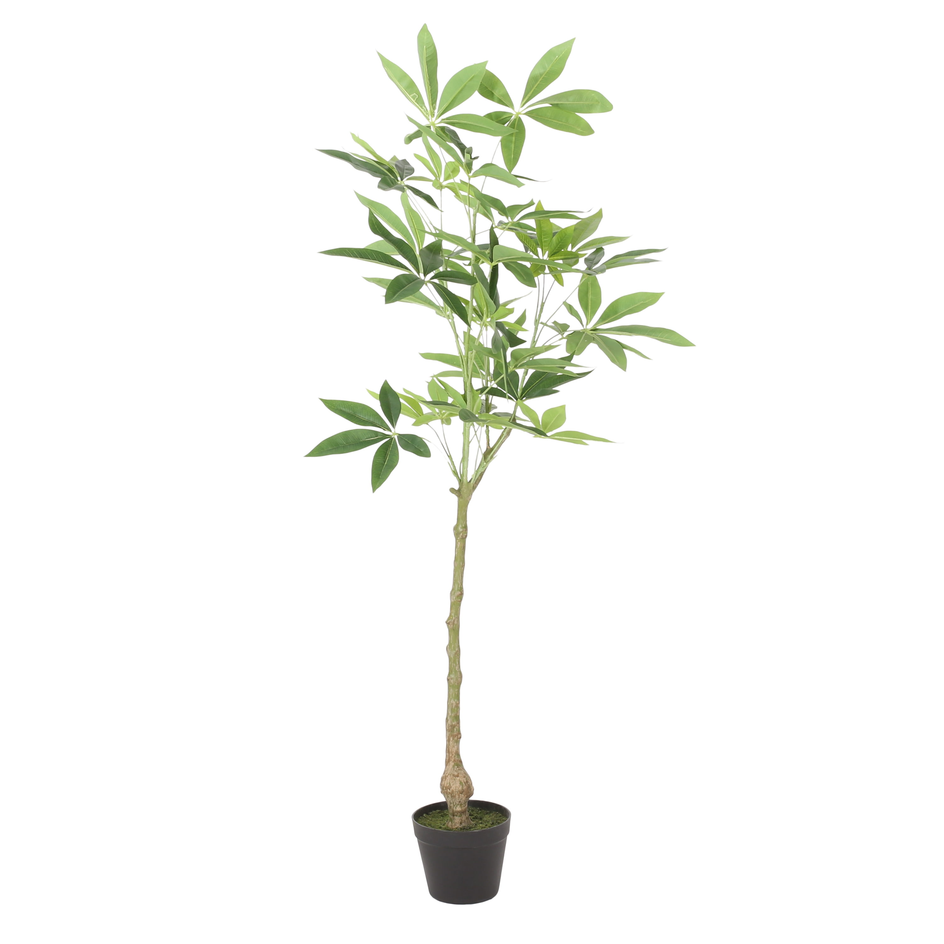 GDF Studio Coles Artificial Money Tree, 4' x 1.5'