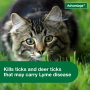 Advantage Yard & Premise Spray, Kills Fleas & Ticks & More, 32 oz.