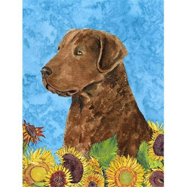 Carolines Treasures SS4165GF 11 x 15 In. Curly Coated Retriever Flag- Garden Size