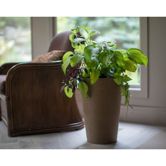 Algreen Valencia Planter, Round Taper Planter 12-In.by 18-In., Spun Taupe