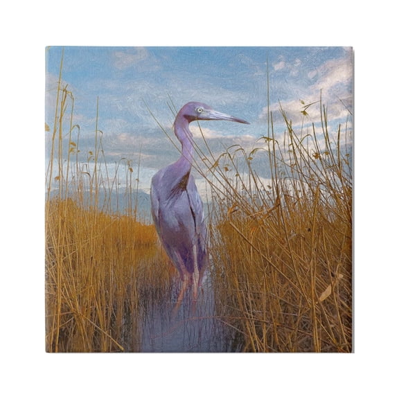 Stupell Egret Beach Reeds Coastal Grasses Landscape Painting Gallery Wrapped Canvas Print Wall Art