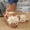 #0169-Beige, variant on Xucatan Women's Floral Appliqué Flat Sandals, Round Toe Open Toe Slides with Elastic Back Strap, Fabric Casual Beach Shoes, Versatile Spring Summer Footwear Gift