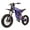 Purple, variant on HEZZO Electric Dirt Bike 60V 3000W Motor 30AH Battery 45MPH Max Speed 95 Mile Range Hydraulic Brakes for Adults