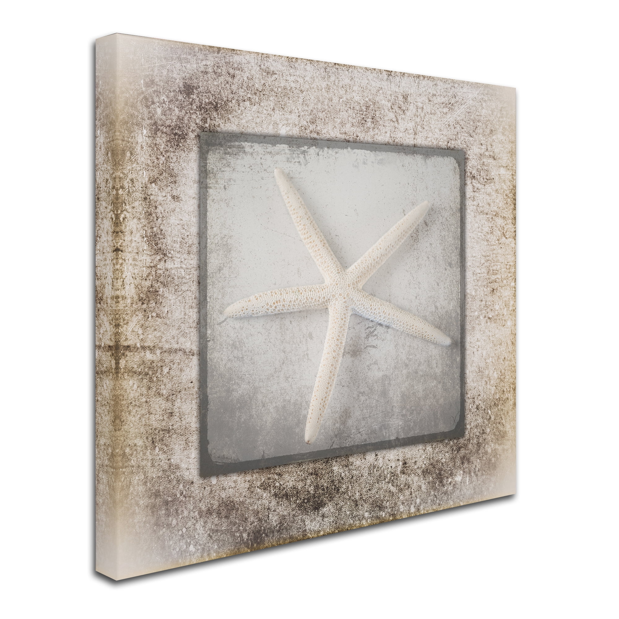 Trademark Fine Art 'Stone Star 3' Canvas Art by LightBoxJournal