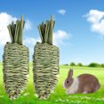 thumbnail image 4 of Visland 3Pcs Bunny Chew Toys,No Hot Glu Grass Carrots Good for Bunny Guinea Pig Hamsters Dental Health, 4 of 8