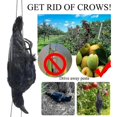 thumbnail image 2 of Realistic Hanging Dead Crow Decoy Lifesize Extra Black Feathered Crow, 2 of 5