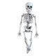 thumbnail image 3 of Esqueleto de Halloween de 16 pulgadas, decoración de Halloween, cuerpo completo para decoración de favores, 3 of 9