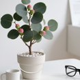thumbnail image 4 of Metal Wall Mount Hanging Plant Pot Holder Ring, Modern Planter Hook For Balcony Patio Garden, 10.2cm Sturdy Stand For Flower Pot, 4 of 7