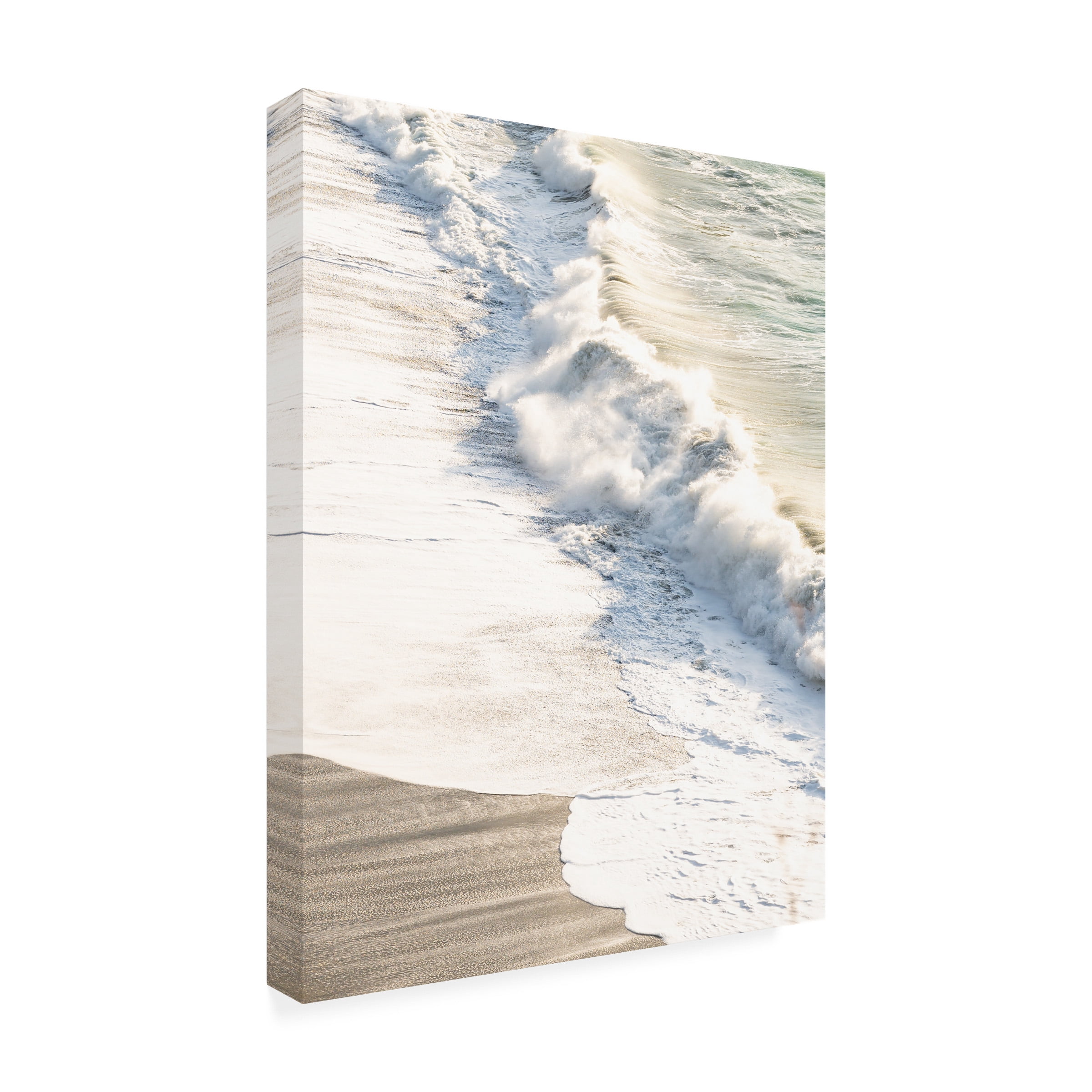 Blue Palomino 'Morning Spray' Canvas Art