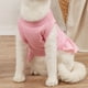 thumbnail image 3 of Ropa para perros de primavera y verano, falda para perros pequeños, falda para perros de color sólido, dobladillo plisado simple a la moda 1495, 3 of 5