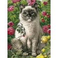 thumbnail image 1 of 30 × 40 Cuadro de diamantes de gatito tímido (30 * 40, 1 pieza) Pintura de diamantes Bordado de diamantes Peintur, 1 of 1