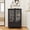 Black, variant on MDQMD White Storage Cabinet with 2 Drawers for Storage,Floor Cabinet with Glass Door for Living Room