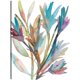 thumbnail image 1 of Rainbow Wish 2 cultivo, 1 of 4