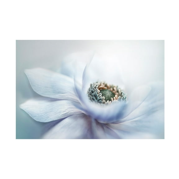 Trademark Fine Art Jacky Parker Chill Canvas Wall Art