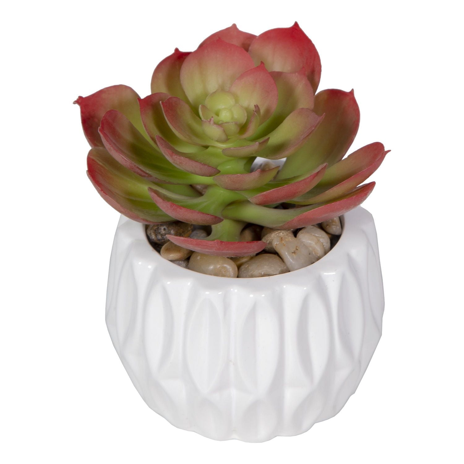 Tige de Plante Artificielle Succulente d'échévérie