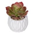 thumbnail image 3 of Mainstays Echeveria Plant Artificial Succulent Pick, 3 of 6
