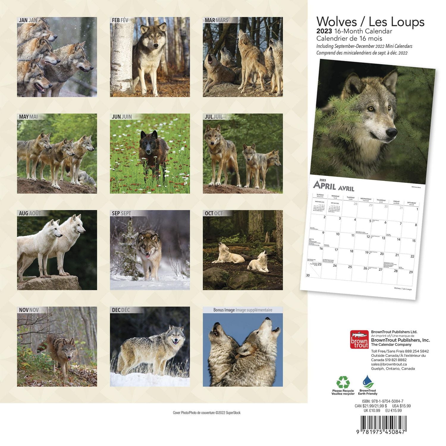 Wolves Les Loups 2023 Square BTCA