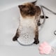 thumbnail image 2 of Cepillo de baño suave para mascotas, con dispensador de champú, peine y ducha 2 en 1 Rosado, 2 of 7