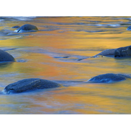 Fall Colors Reflect in the West River, Jamaica State Park, Vermont, USA Print Wall Art By Jerry & Marcy