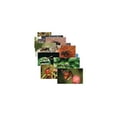 thumbnail image 2 of Stages Learning Materials Insects & Bugs Real Life Learning Poster Card Set, Set of 14, 2 of 2
