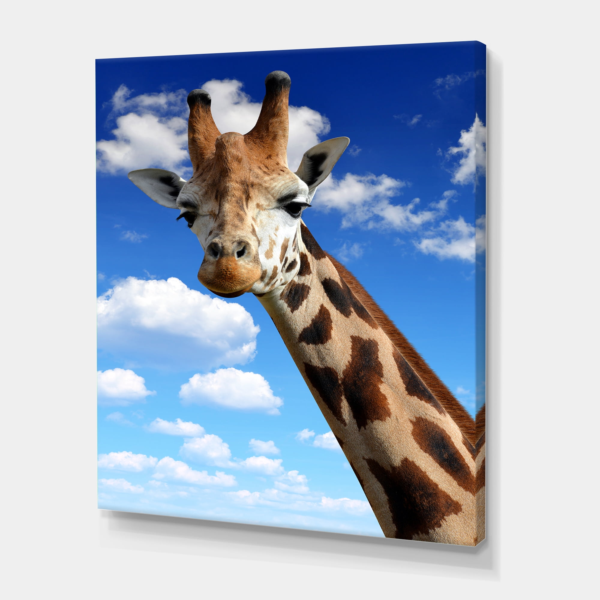 Designart ' A Giraffe On A Blue Sky Portrait ' Farmhouse Canvas Wall Art Print