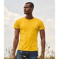 thumbnail image 2 of Fruit Of The Loom Mens Iconic T-Shirt, 2 of 4
