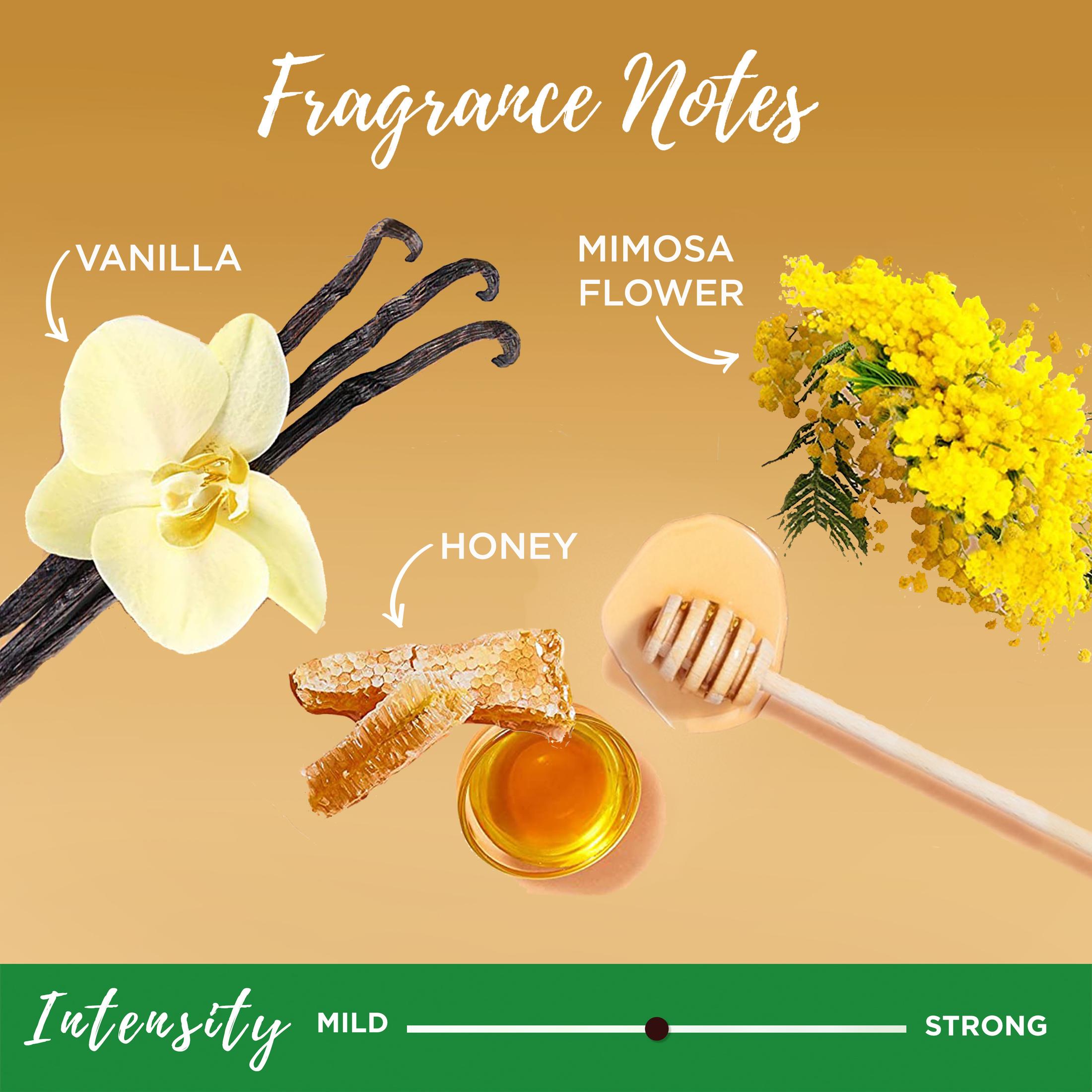 ($16 Value) Garnier Whole Blends Honey Treasures Shampoo Conditioner and Treatment Gift Set, Holiday Kit - image 5 of 8