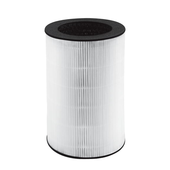 Homedics, Replacement 360 HEPA Filter for AP-T45, T43, or T40