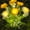 🔥 Yellow_Hot#741, variant on Solar Lotus Flower Stake Lights Outdoor | LED Decorative Garden, Lawn, Pathway Lighting | Realistic Silk Floral, 26.4" Tall, Multi-Color, Weatherproof, Auto-Charge Solar Landscape Accent