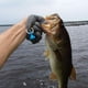 thumbnail image 4 of Uds. Guante de pesca con liberación magnética, guantes de pescador profesional para pescar, resistente a cortes y perforaciones con ganchos magnéticos, guante de caza Ormromra 222004-6, 4 of 9