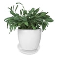 thumbnail image 5 of FESTFENDS 20Pcs Round Plastic Saucer For Plant Containers With Water Drainage 8.66In, 5 of 5