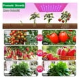 thumbnail image 6 of LED Grow Light Full Spectrum Lamp, Phyto Bulb Grow Plant Growth Light 1000W 2000W Hydroponic Light Indoor Flower Seeds Tent ,Higher Efficiency, 6 of 7