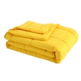 thumbnail image 1 of Stayclean Water and Stain Resistant Blanket - Full/Queen, 1 of 2