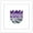 White Framed Version, variant on Gallery Pops NBA Sacramento Kings - Primary Logo Wall Art, Black Framed Version, 12" x 12"