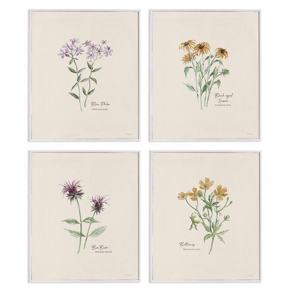 Stupell Industries Simple Wildflower Studies Plants & Flowers Painting White Framed Art Print Wall Art, 16 x 20, Set of 4