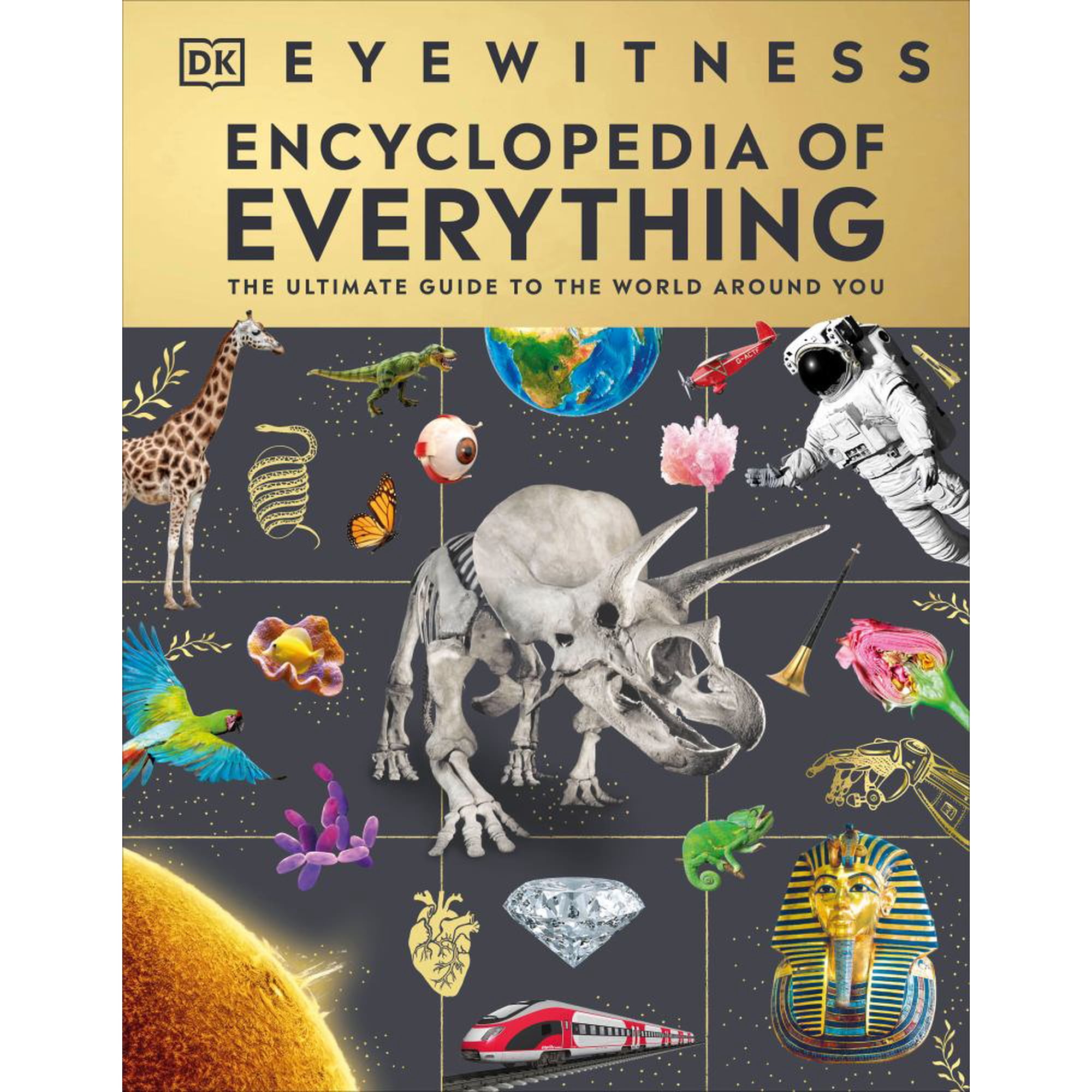 DK: Eyewitness Encyclopedia of Everything: The Ultimate Guide to the World Around You (Hardcover)