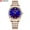 Coffee, variant on Curren Classic Simple Stainless Steel Quartz Watches For Women Rose Dial With Rhinestone Charming Wristwatches - Quartz Wristwatches