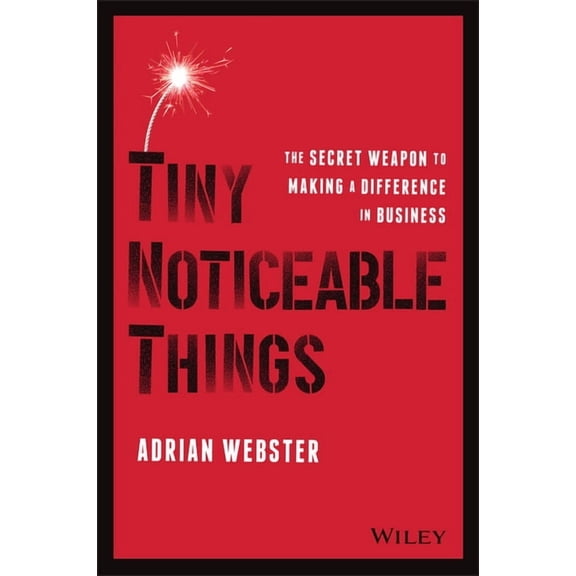 Tiny Noticeable Things: The Secret Weapon to Making a Difference in Business (Paperback)