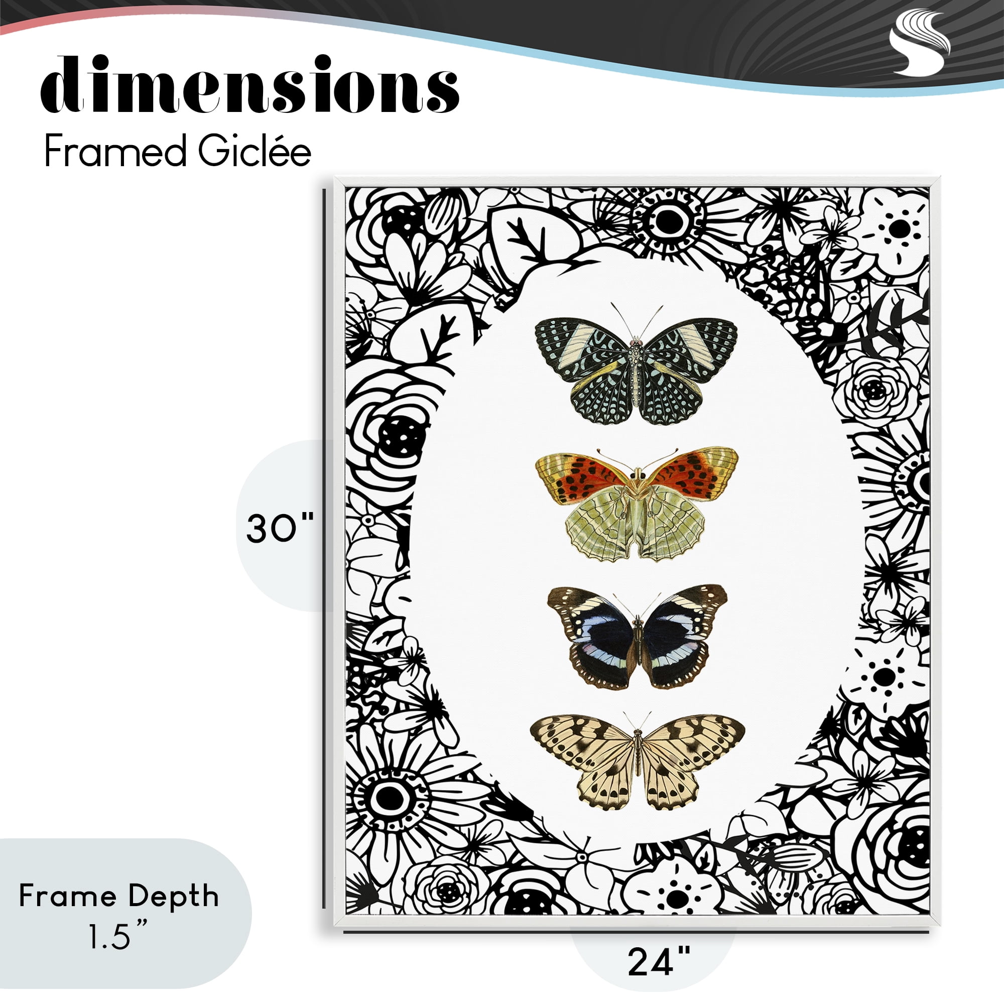 Stupell Industries Floral Butterfly Lineup White Framed Giclee Art, design by Dan Meneely