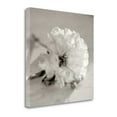 thumbnail image 2 of "Florison - 28" By Alan Blaustein, Fine Art Giclee Print on Gallery Wrap Canvas, Ready to Hang, 2 of 2