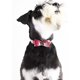 thumbnail image 3 of Collar para perro, bufanda para cachorro y gato, pajarita, traje para cachorro y gato, bufanda ajustable, bonito camuflaje, 3 of 5