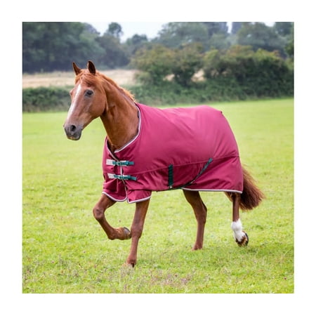 Shires Tempest Original 200 Turnout (Maroon, 60")