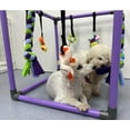 thumbnail image 7 of Puppy Play Gym for Small Dogs with 8 Hanging Toys, Jungle Playground with Interactive Funny Enrichment Toys to Keep Them Busy, 7 of 7