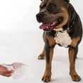 thumbnail image 2 of Dexypaws: Pet Wipes - Lavender & Vitamin E - 200ct Canister Cleansing Wet Wipes, Cats & Dogs Grooming Care, Paws-Face-Ears-Nose, Moist-Gentle-Portable, 2 of 10