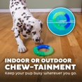 thumbnail image 3 of Petstages Orka Grow-with-Me-Ring - Juguete para Masticar Perros pequeños, 3 of 7