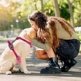 thumbnail image 2 of Arnés para perros Unique Bargains Arnés reflectante ajustable para chaleco de perros pequeños, medianos y grandes Rojo Rosa, 2 of 7