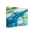 thumbnail image 2 of Trademark Fine Art 'Tidal Sweep III' Canvas Art by Sharon Chandler, 2 of 4