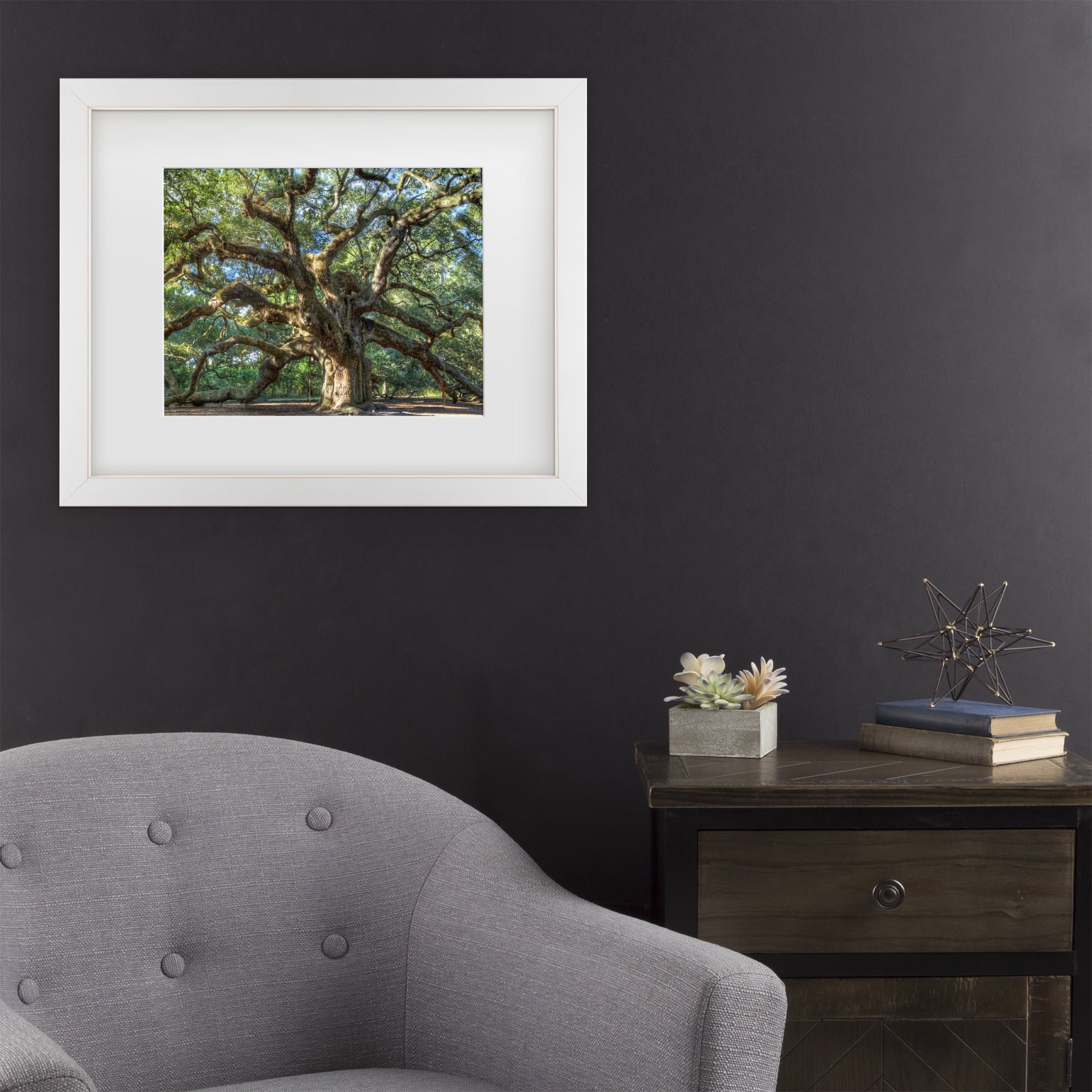 Trademark Fine Art 'Angel Oak Charleston' Canvas Art by Pierre Leclerc